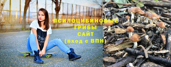 молекула духа Алексеевка
