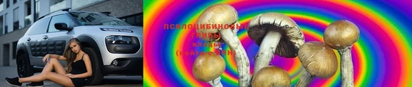 дживик Алзамай